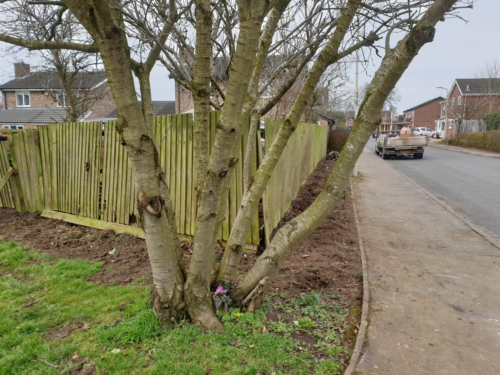Wigston fence before